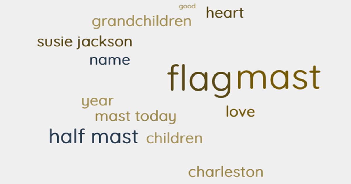 take down your flag lyric word cloud